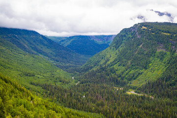 Fototapeta premium Scenic Green Lush Valley with Mountains in the Back at Glacier National Park