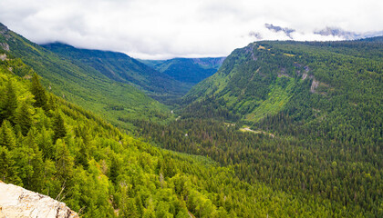 Fototapeta premium Scenic Green Lush Valley with Mountains in the Back at Glacier National Park