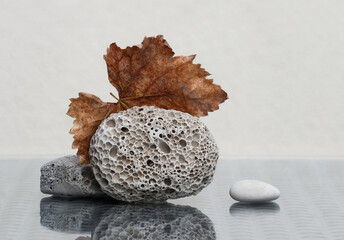 Still life with dry grape leaf and three sea pebbles on glass top table. Selective soft focus.
