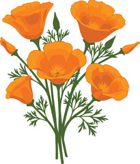 California Poppy Flower Arrangement in Orange and Green on White bloom blossom