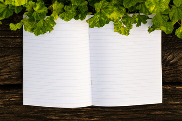 Open blank notebook with green leaves on wooden table