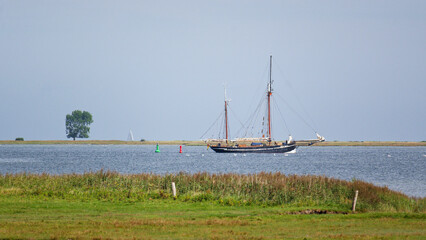 Schlei