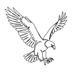Obraz premium Minimalist Line Art of an Eagle with Wings Spread Wide in Flight bird hawk