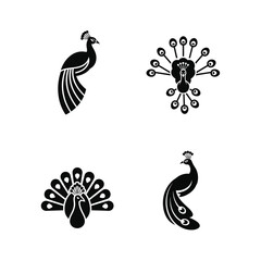 Elegant Peacock Silhouette Collection Vector Designs