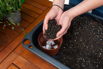 Closeup of hands filling a small flower pot with soil for planting in a backyard garden, gardening...