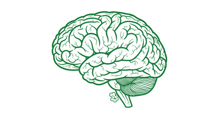 Green schematic human brain on white, representing intelligence and thought processes