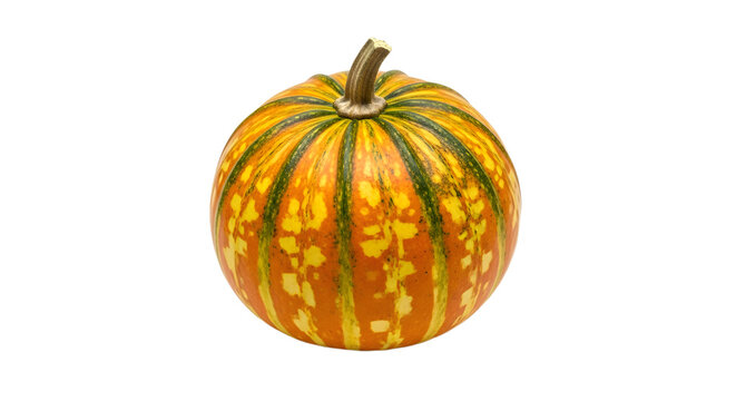 Striped Pumpkin Isolated