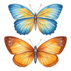 Fototapeta premium Watercolor Blue and Orange Butterfly Set PNG