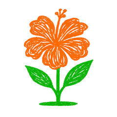 Orange hibiscus flower with green stem and leaves isolated on a transparent background ©  digitalmarketingbd