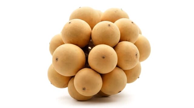 Lansium parasiticum fruit cluster on white background