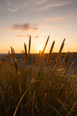 Sonnenuntergang 