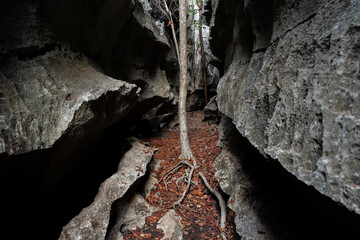 Tsingy de Bemaraha, Madagascar