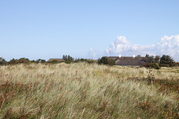 Fototapeta premium Dorf