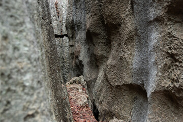 Tsingy de Madagascar