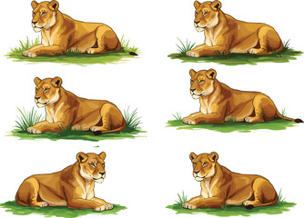 Beautiful lioness illustration set, wild animal artwork, sitting lion vector, jungle wildlife drawing, big cat design, majestic predator clipart © Zahid Creatives