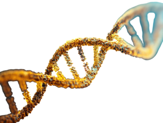 A detailed, stylized depiction of a DNA double helix