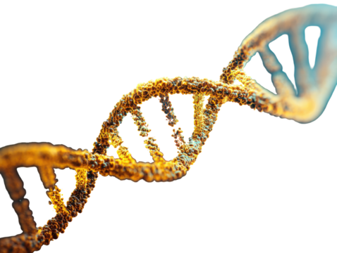 A detailed, stylized depiction of a DNA double helix