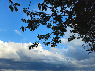 Blue sky with clouds and branches of a tree in the foreground, first the summer sun then thick clouds follow