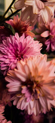 cinematic look of pink flower bunch
