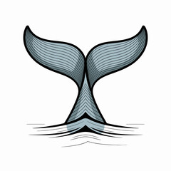 Whale tail emerging from water artistic vector illustration in light blue and gray tones against a white background for marine life concepts
