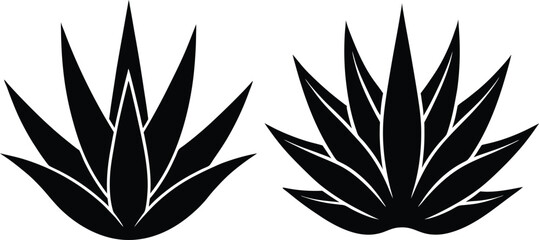 aloevera silhouette vector illustration. 