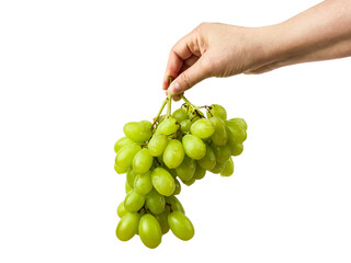 Fresh green grapes hang from a persons hand, ready for enjoyment and consumption