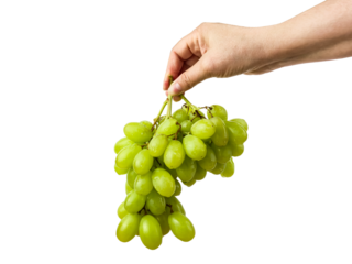 Fresh green grapes hang from a persons hand, ready for enjoyment and consumption