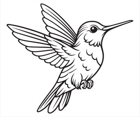 Fototapeta premium Elegant Hummingbird Flying Vector Illustration