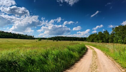 Fototapeta premium a dirt road passing through a green field in the background a forest and shrubbery against a blue sky with clouds