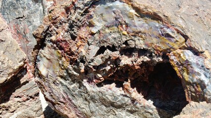 petrified forest painted desert 