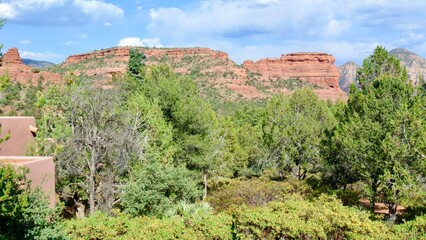 Fototapeta premium sedona red rock 