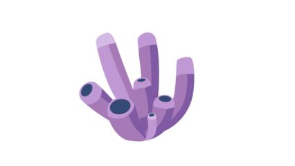 PNG Cartoon underwater sea landscape constructor with fishes and ocean animals, vector undersea world. Underwater coral reef characters of octopus with turtle,