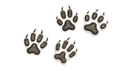 Isolated Illustration of Animal Paw Prints