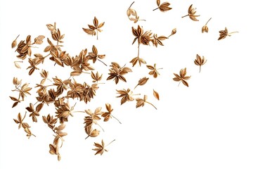Dried star anise scattered on white background