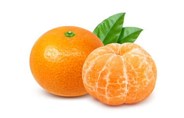 みかん イラスト リアル ミカン