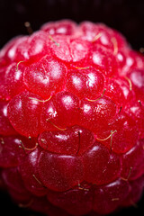 Close-up shot of a raspberry showing the details of the red fruit's texture. Black background.