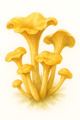 Vibrant yellow mushrooms growing in a natural setting during springtime