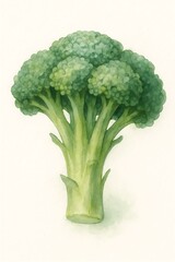 Fresh broccoli displays vibrant green colors and unique shape in an artistic representation