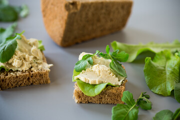 Appetizing sandwich with greens and fish spread