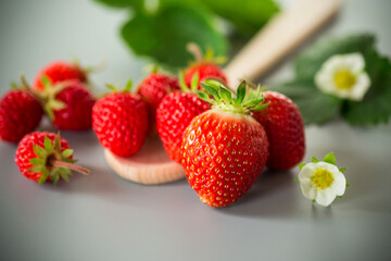 Top view of red strawberries with a gray background