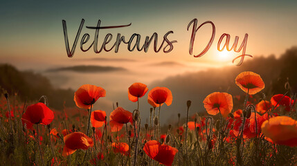 Veterans day poppies remembrance sunset background honor and respect