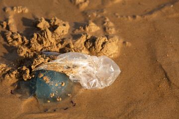 Environmental pollution with jellyfish and plastic bag lying on the sand. © Алина Кисенко