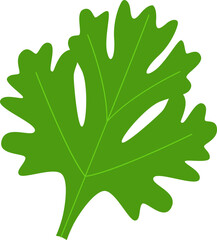 Fototapeta premium Papaya Fruit Leaves 