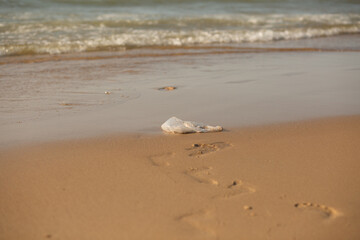 Plastic bag left on sandy beach with human footprints nearby, symbolizing human impact and...