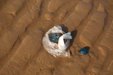Plastic bag entangled with jellyfish on sandy beach, strong symbol of marine pollution and...