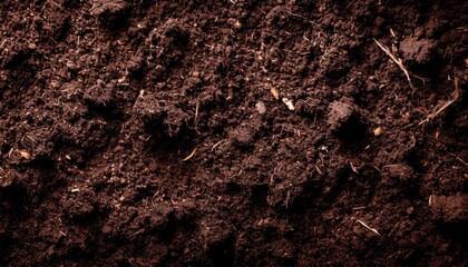rich dark garden soil with organic texture and earthy surface detail perfect for natural background or farming design use