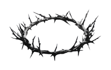 Crown of Thorns on transparent background, png