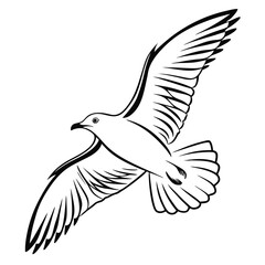 Stylized black and white line art drawing of a seagull in flight with wings spread wide
