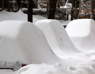 Snow covered cars after snowfall