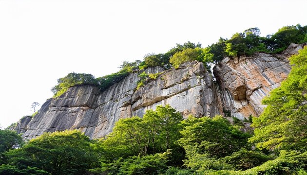 majestic rocky cliff face with lush green trees dramatic nature scene isolated background perfect for compositing digital on white background